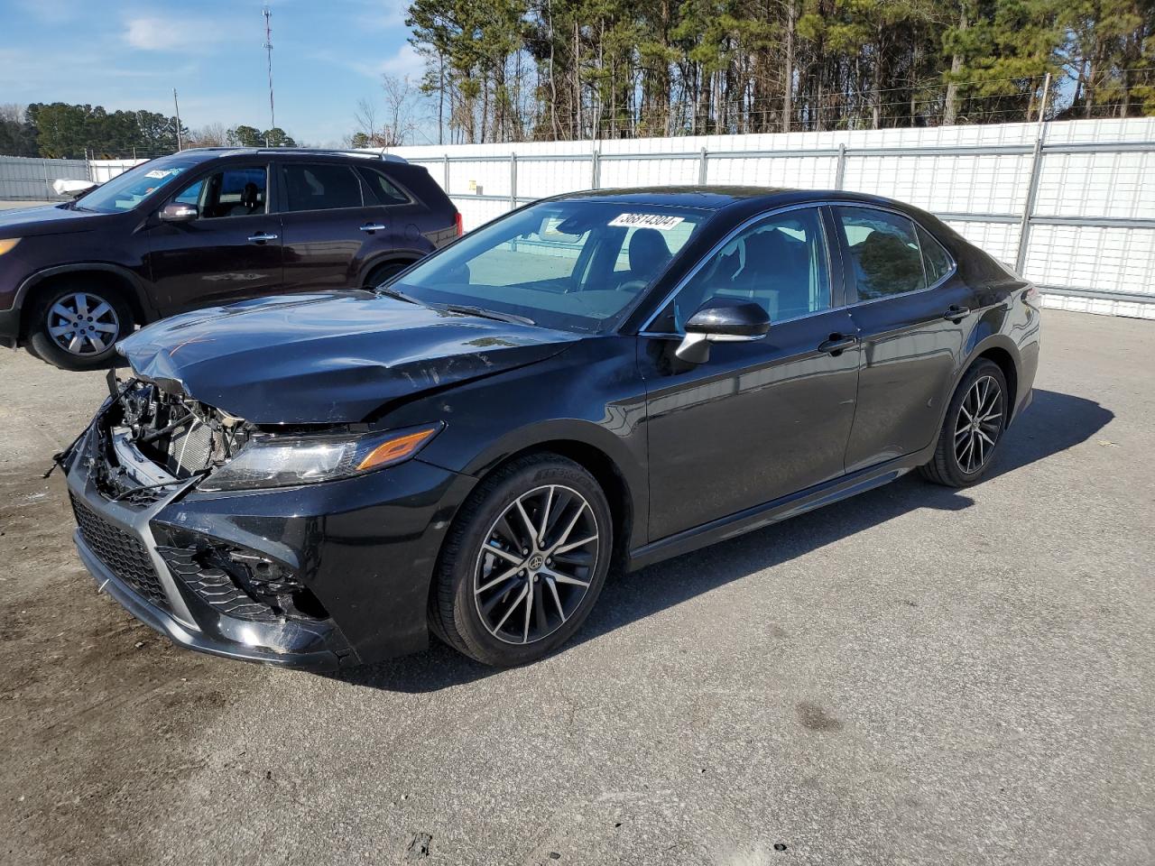 TOYOTA CAMRY 2023 4t1g11ak2pu814103