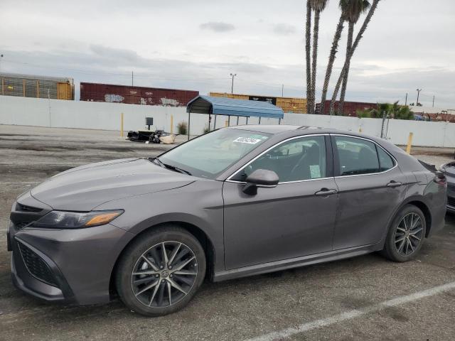 TOYOTA CAMRY 2024 4t1g11ak2ru886065