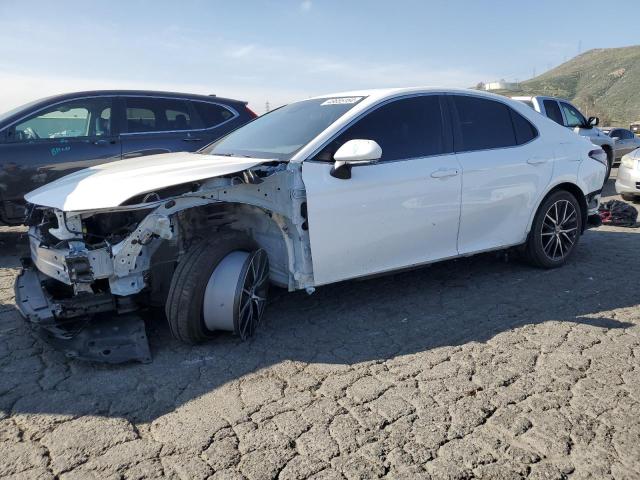 TOYOTA CAMRY 2023 4t1g11ak3pu806432