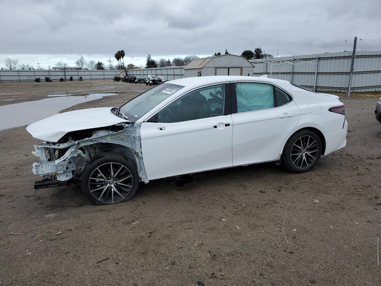 TOYOTA CAMRY 2024 4t1g11ak3ru846318