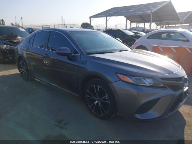 TOYOTA CAMRY 2020 4t1g11ak4lu869923