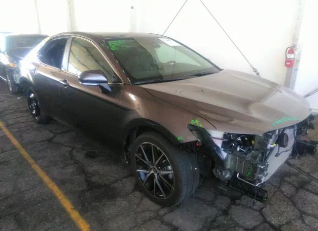 TOYOTA CAMRY 2023 4t1g11ak4pu756446