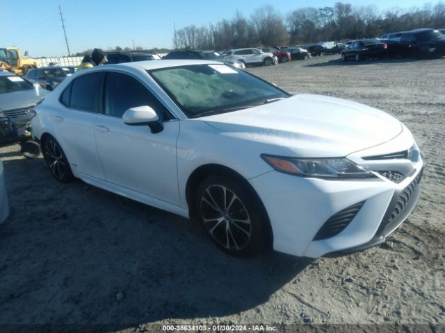 TOYOTA CAMRY 2020 4t1g11ak5lu888528