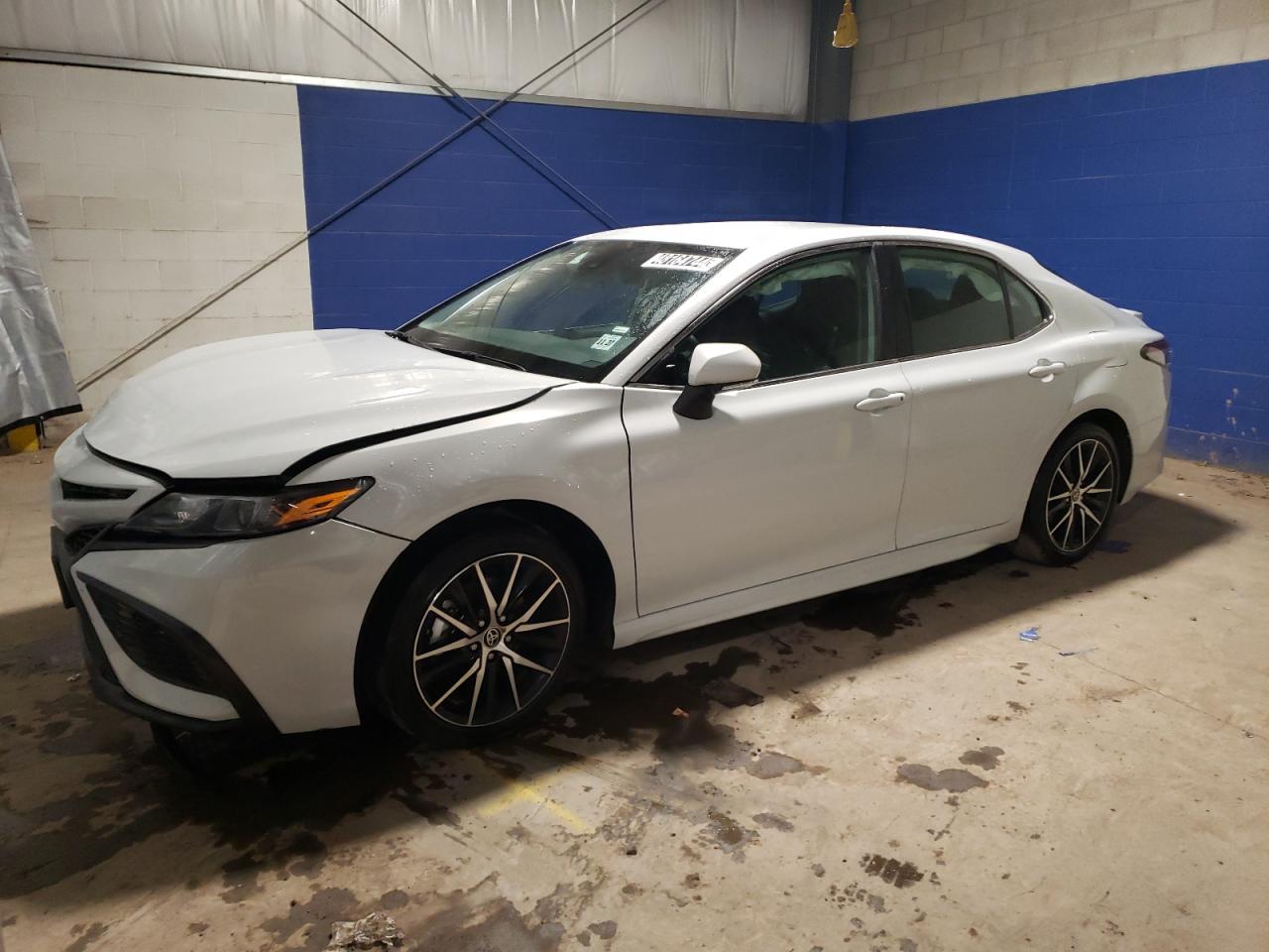 TOYOTA CAMRY 2023 4t1g11ak5pu102183