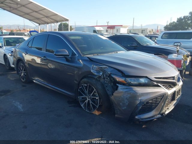 TOYOTA CAMRY 2023 4t1g11ak5pu737128