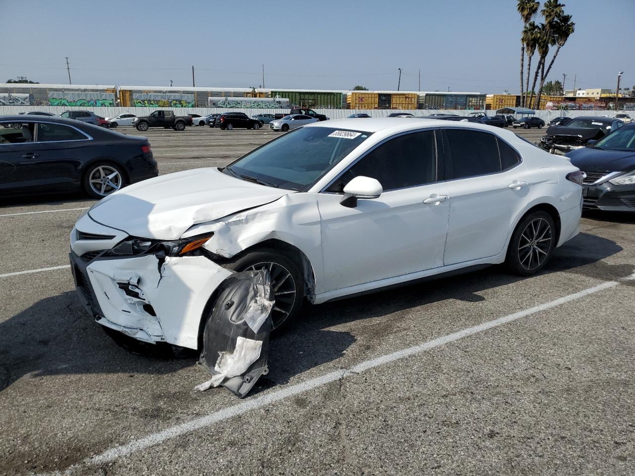 TOYOTA CAMRY 2023 4t1g11ak6pu725652