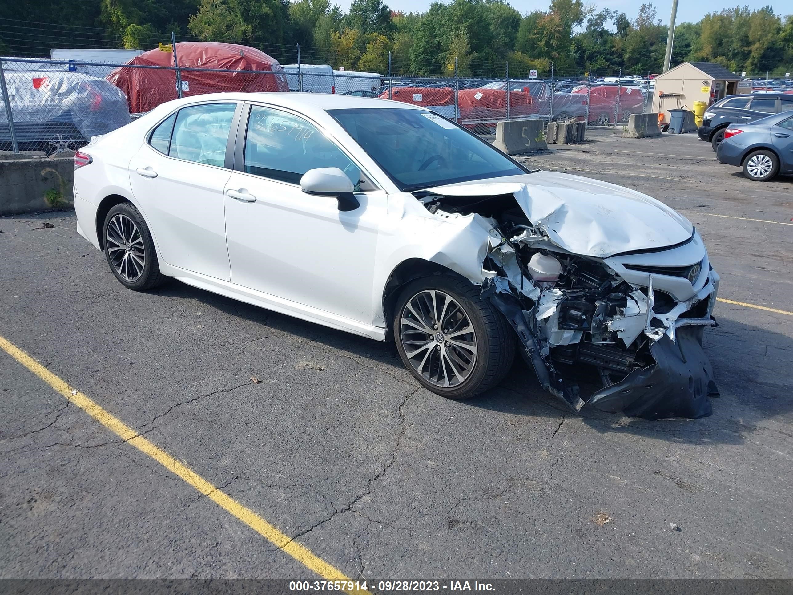 TOYOTA CAMRY 2020 4t1g11ak7lu926924