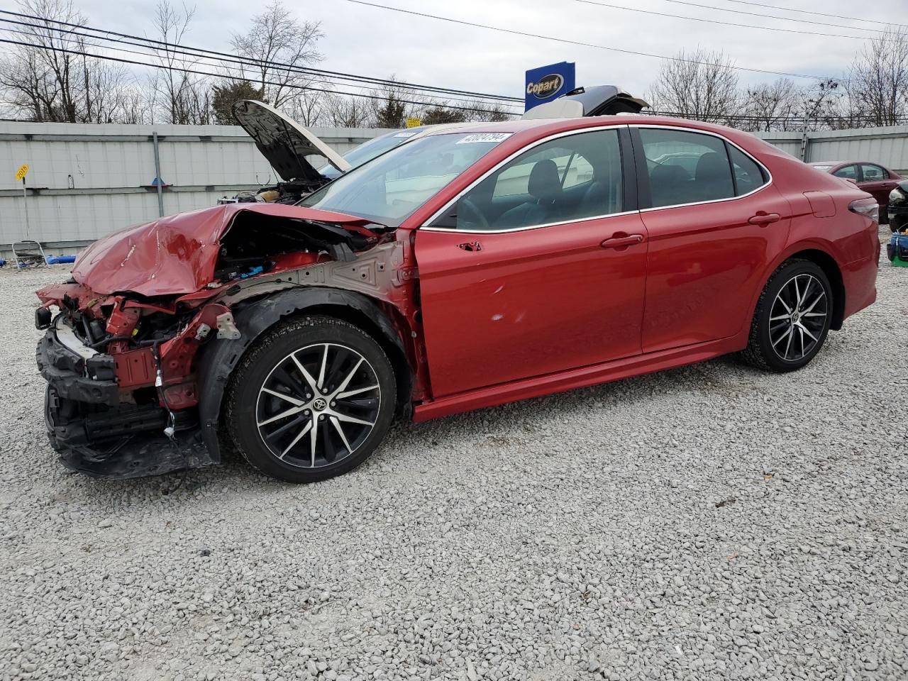 TOYOTA CAMRY 2023 4t1g11ak7pu088576