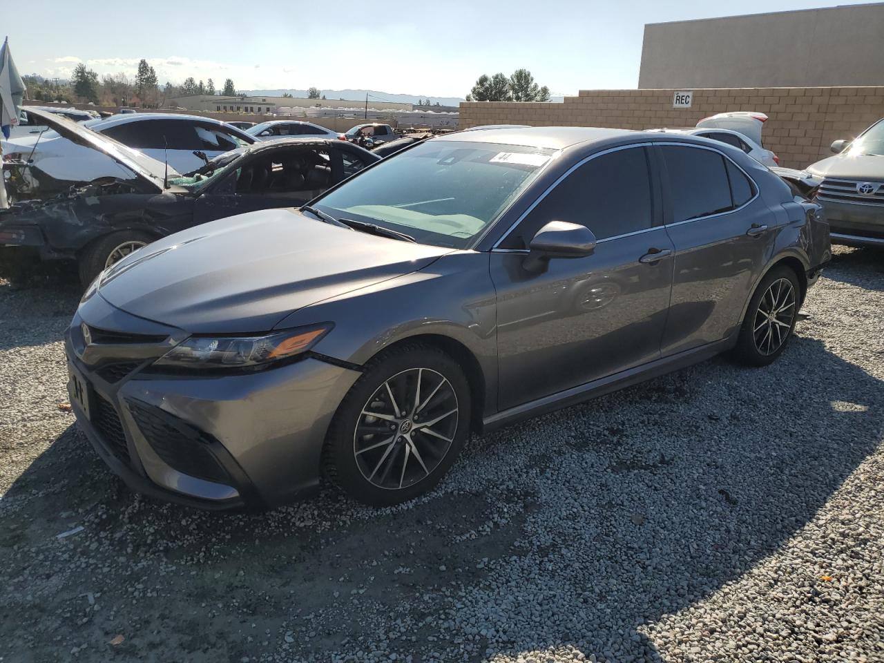 TOYOTA CAMRY 2021 4t1g11ak8mu532852