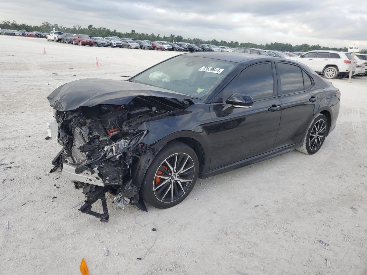 TOYOTA CAMRY 2023 4t1g11ak8pu833531