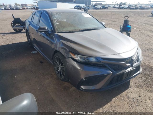 TOYOTA CAMRY 2023 4t1g11ak9pu736788