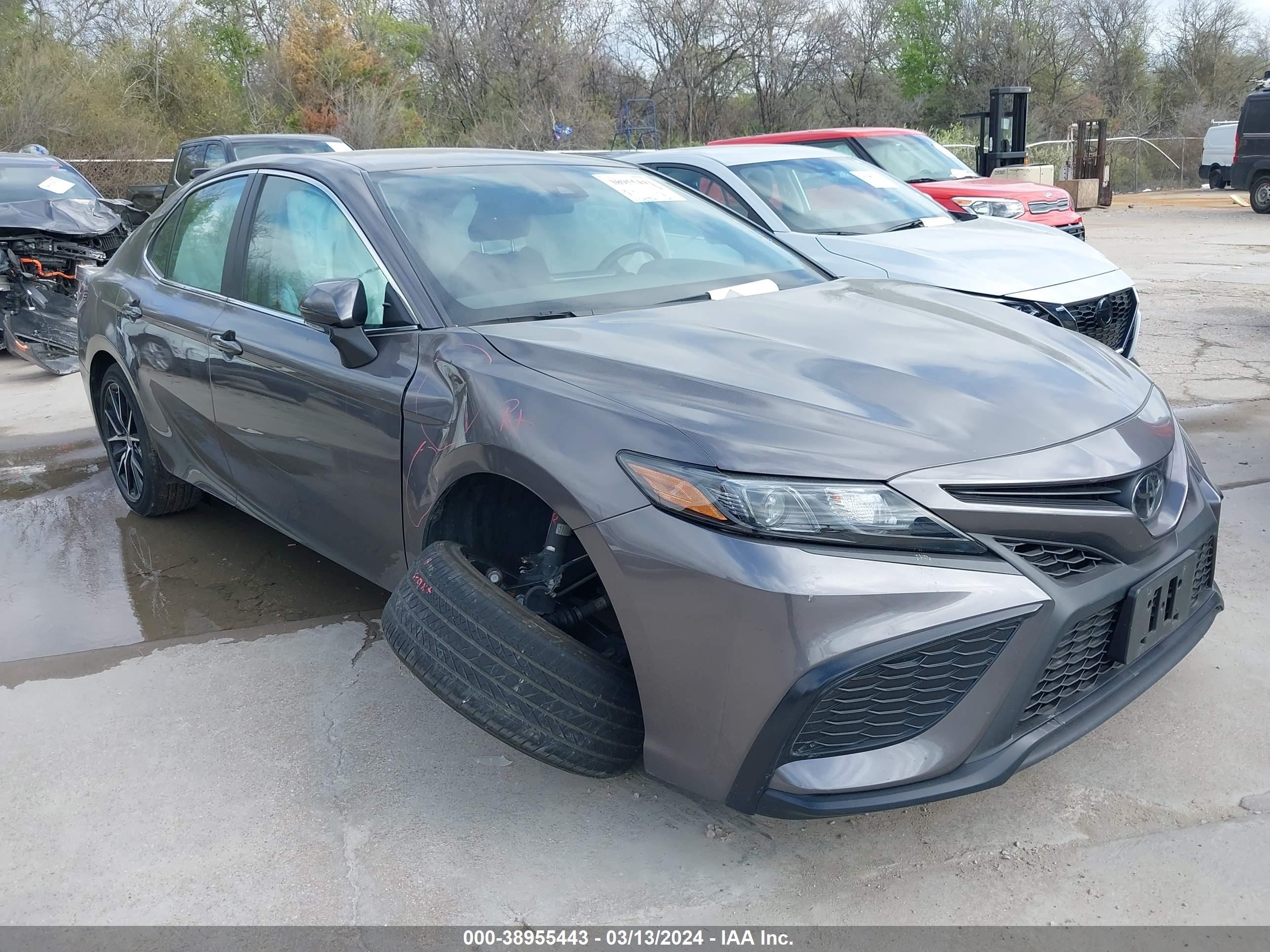 TOYOTA CAMRY 2023 4t1g11ak9pu753834