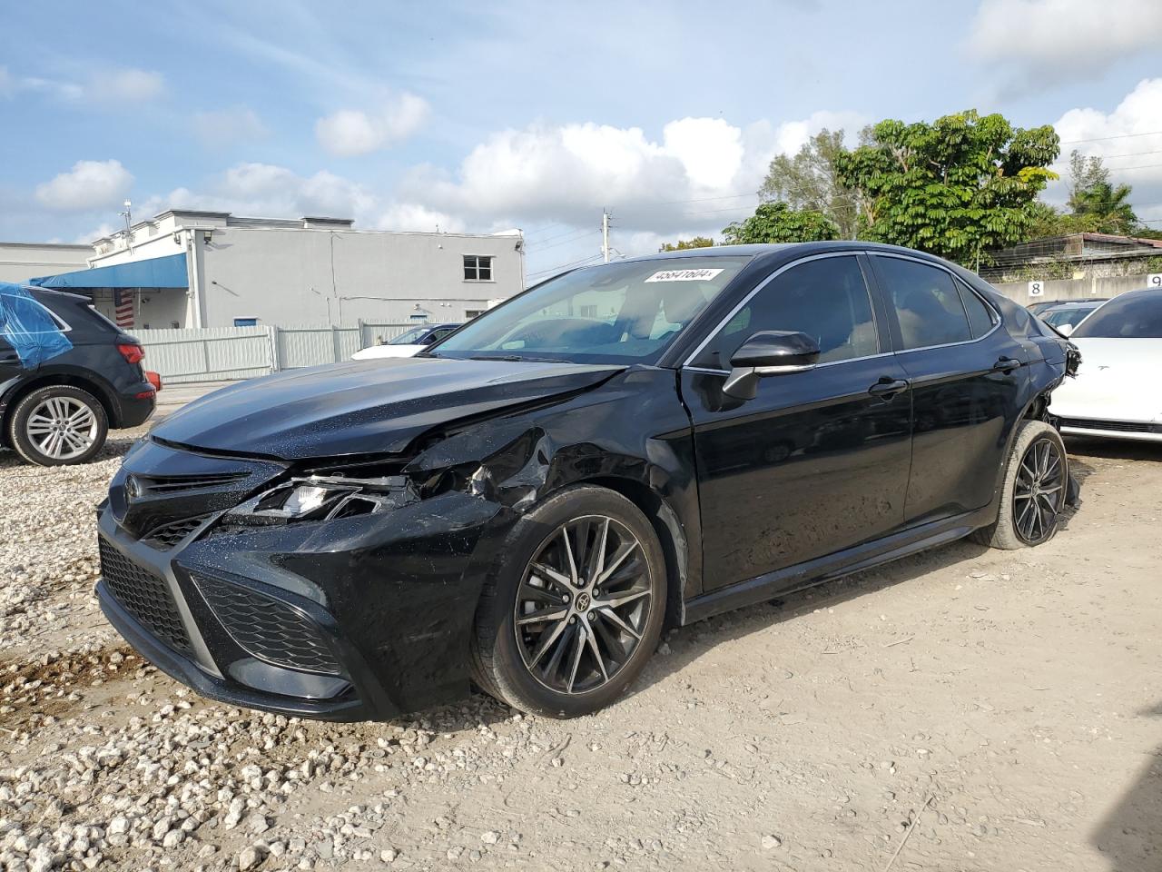 TOYOTA CAMRY 2023 4t1g11ak9pu822151