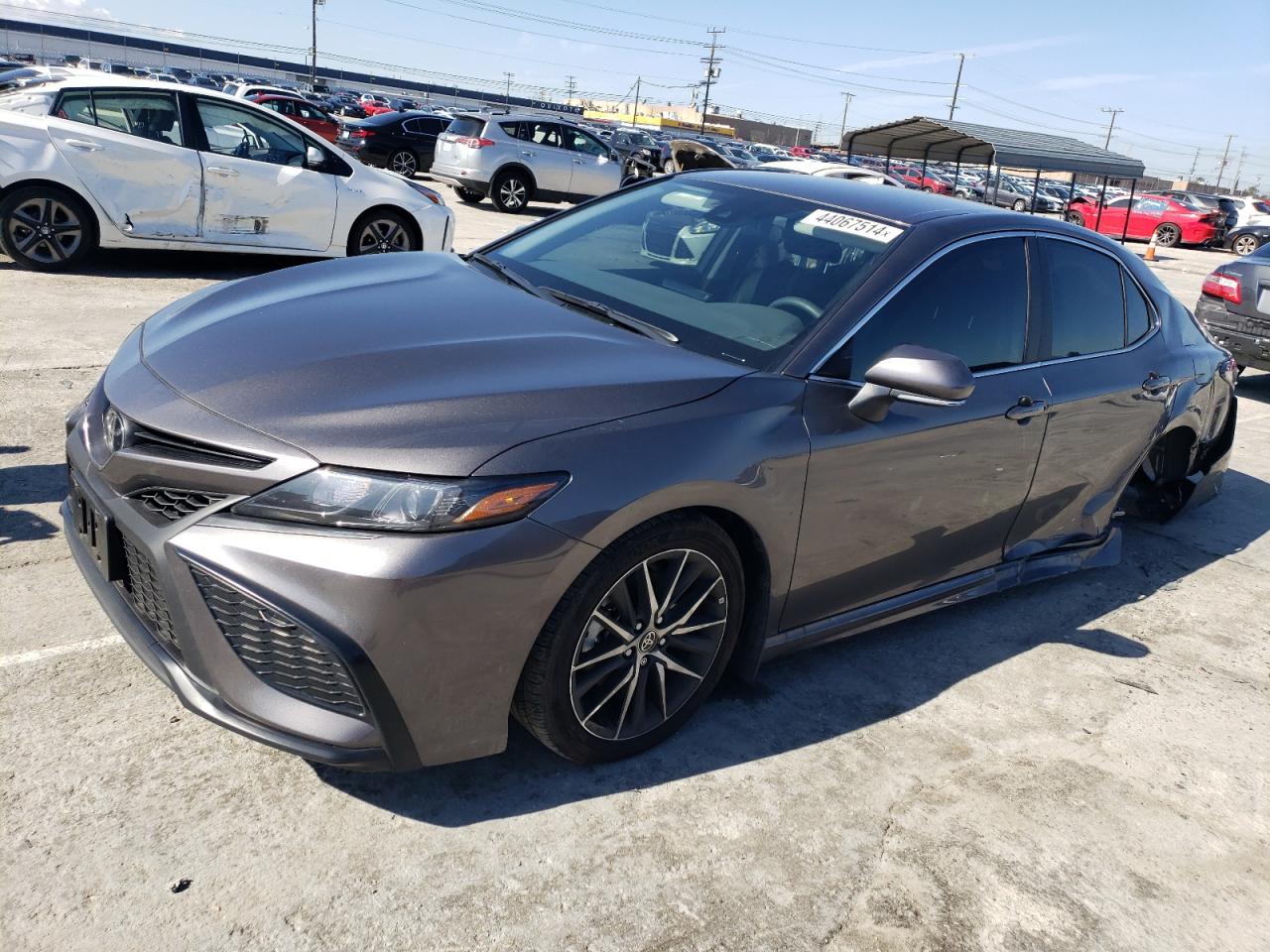 TOYOTA CAMRY 2024 4t1g11ak9ru842564