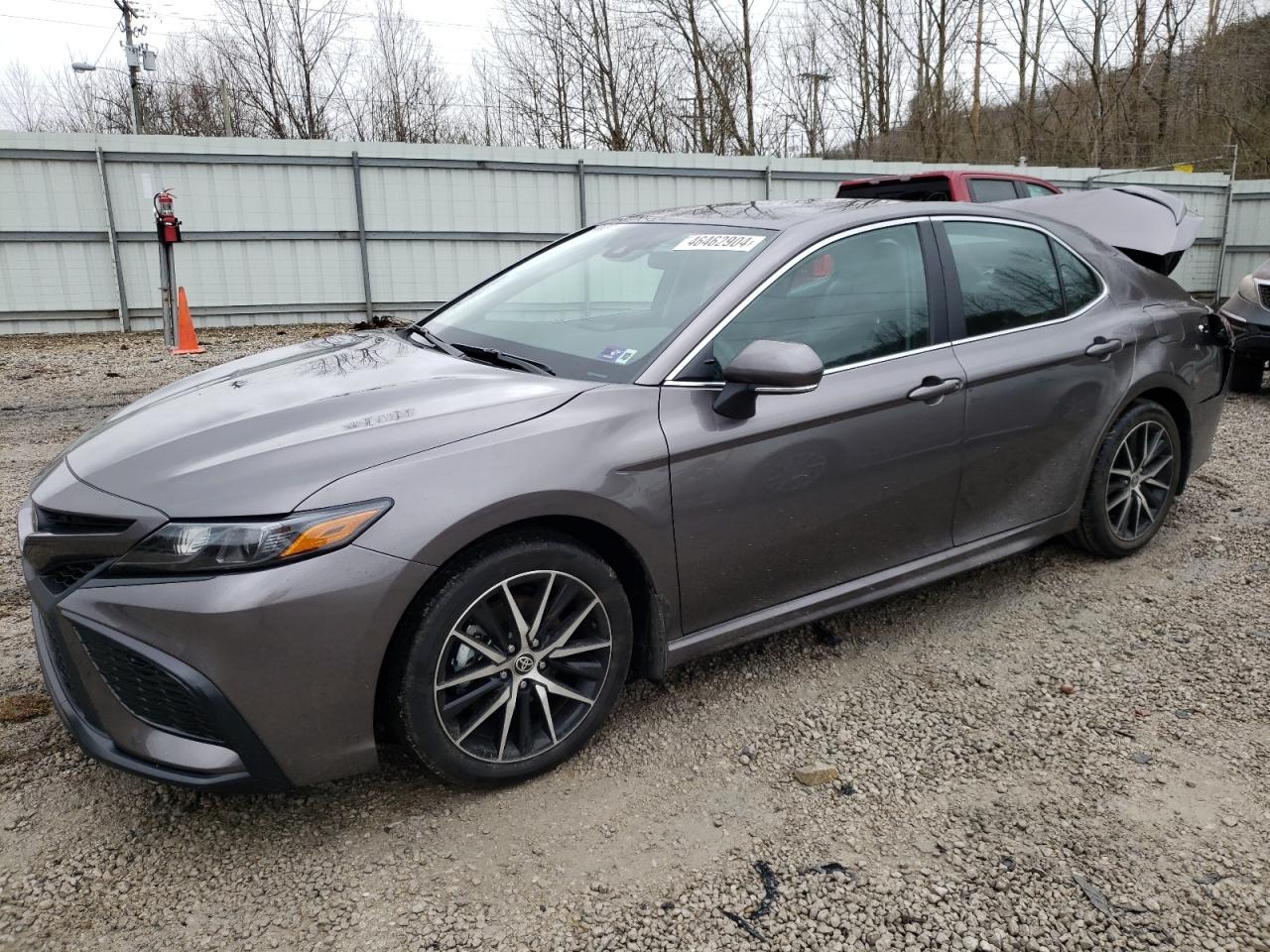 TOYOTA CAMRY 2024 4t1g11ak9ru866637