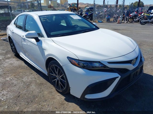 TOYOTA CAMRY 2023 4t1g11akxpu154800