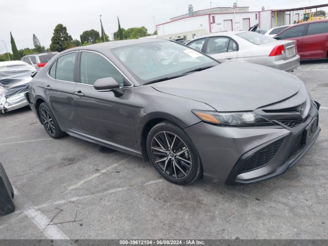 TOYOTA CAMRY 2023 4t1g11akxpu735228