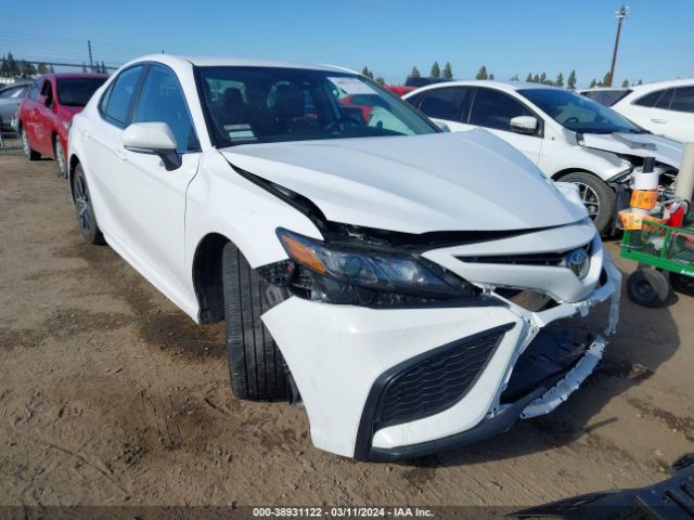 TOYOTA CAMRY 2023 4t1g11akxpu771064