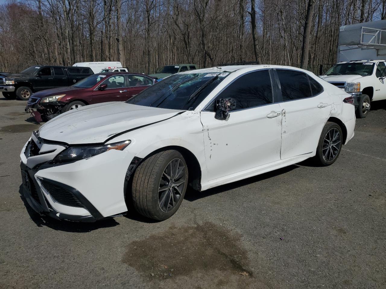 TOYOTA CAMRY 2024 4t1g11akxru847398