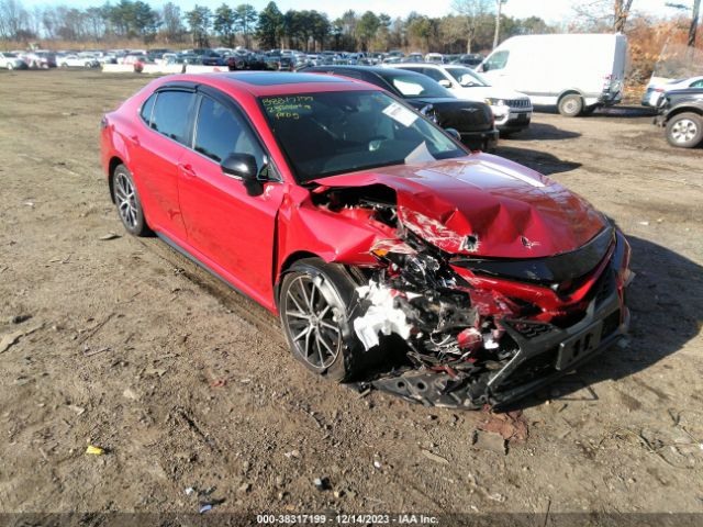 TOYOTA CAMRY 2023 4t1g11bk0pu075182