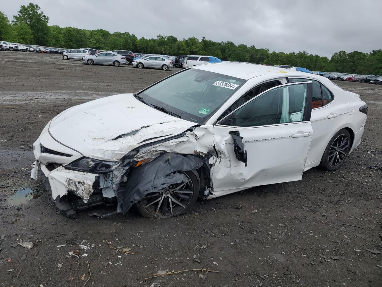 TOYOTA CAMRY 2021 4t1g11bk1mu037696