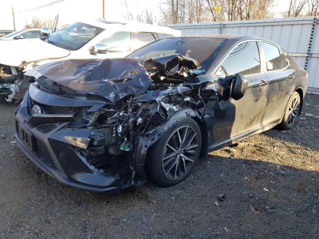 TOYOTA CAMRY 2023 4t1g11bk1pu086224