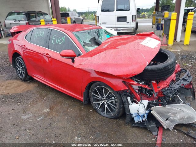 TOYOTA CAMRY 2024 4t1g11bk1ru116566