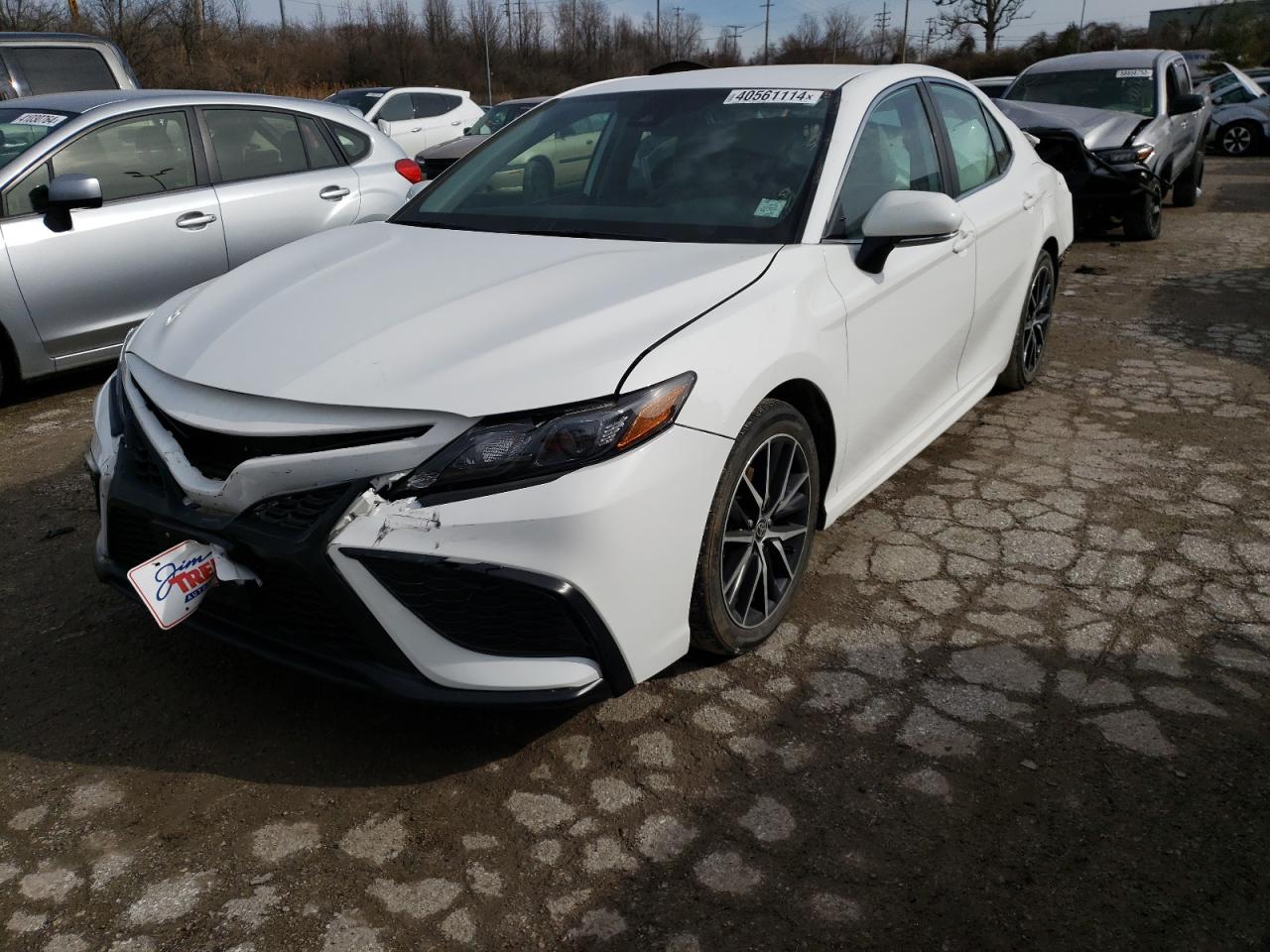 TOYOTA CAMRY 2021 4t1g11bk2mu033933