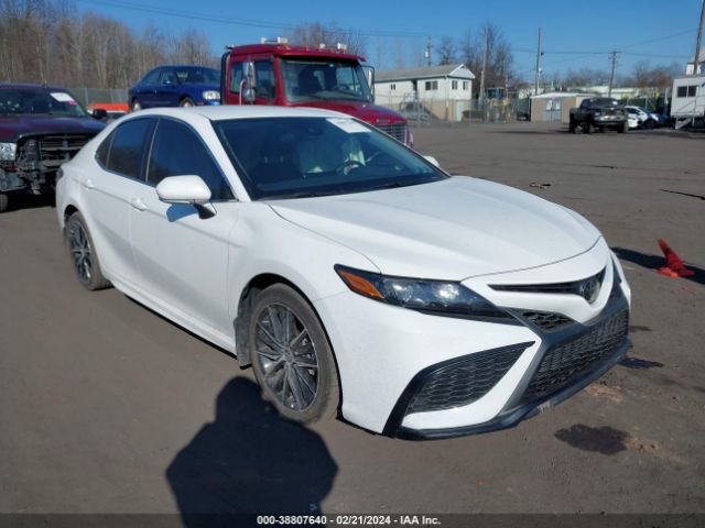 TOYOTA CAMRY 2023 4t1g11bk5pu100884