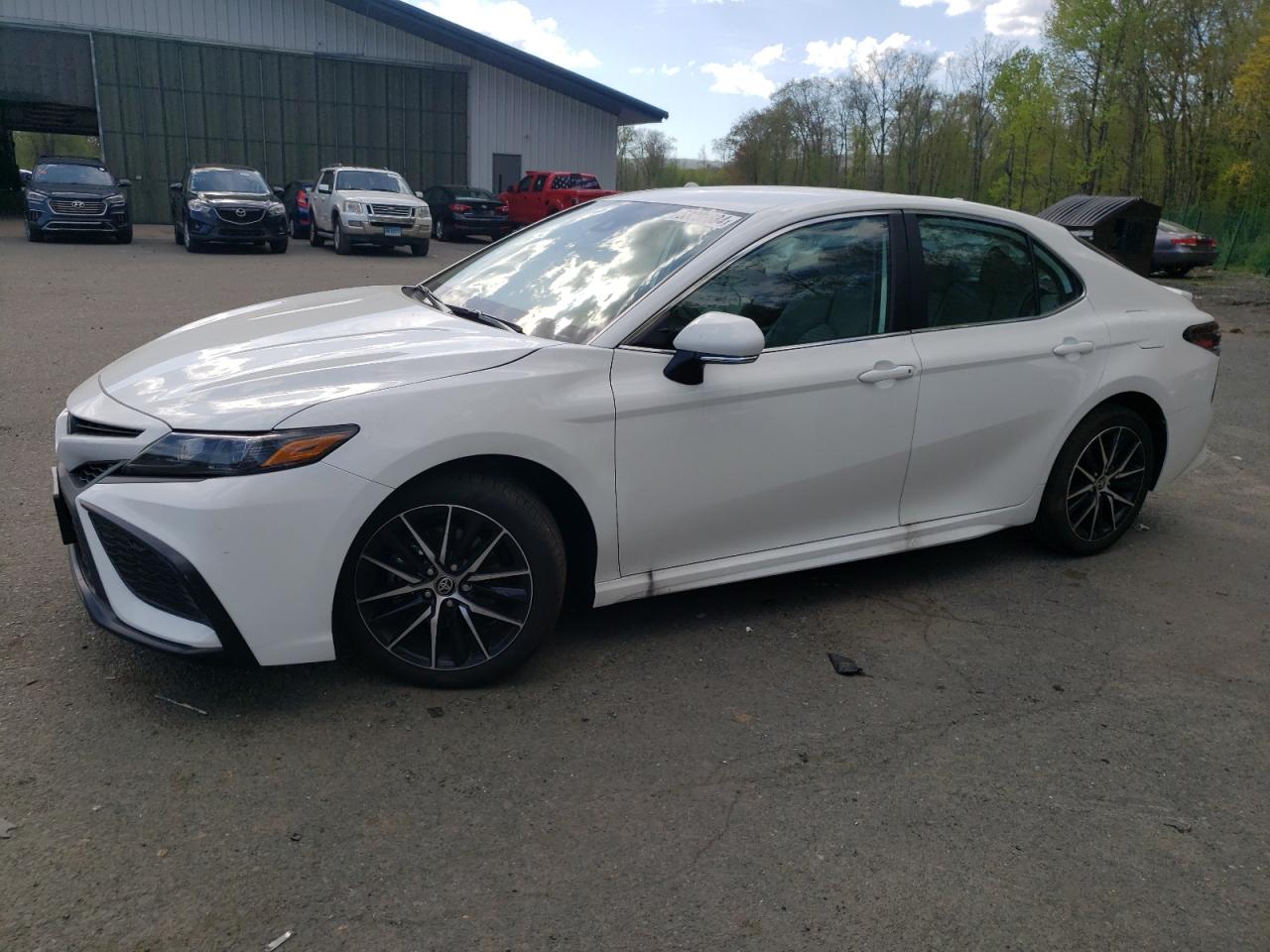 TOYOTA CAMRY 2024 4t1g11bk5ru117476