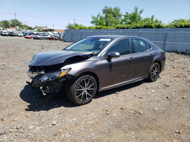 TOYOTA CAMRY 2023 4t1g11bkxpu102162