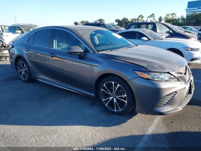 TOYOTA CAMRY 2020 4t1g31ak0lu011861