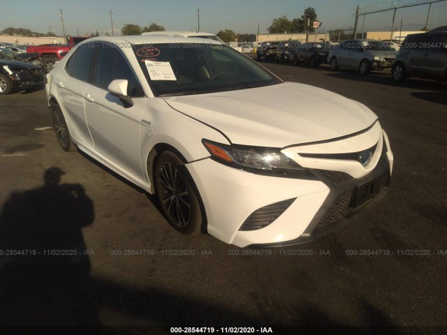 TOYOTA CAMRY 2020 4t1g31ak0lu015604