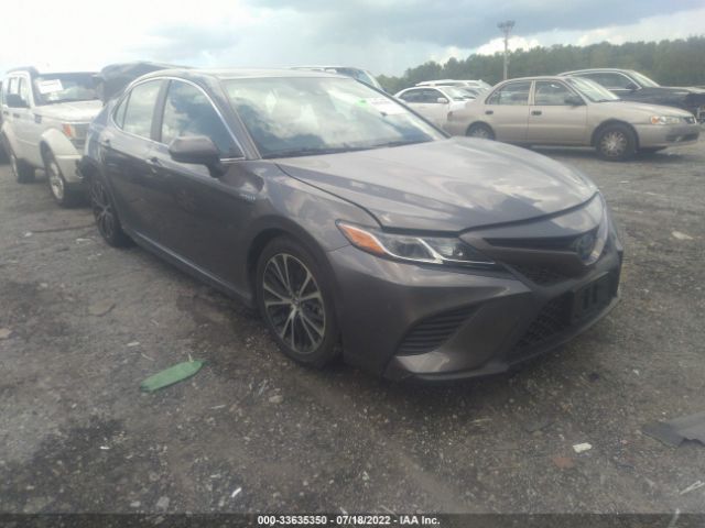 TOYOTA CAMRY 2020 4t1g31ak0lu527122