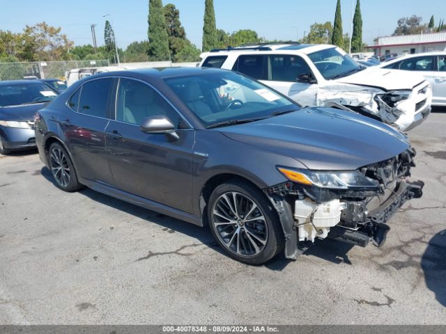 TOYOTA CAMRY 2020 4t1g31ak0lu535673