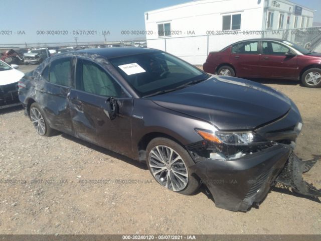 TOYOTA CAMRY 2020 4t1g31ak1lu019273