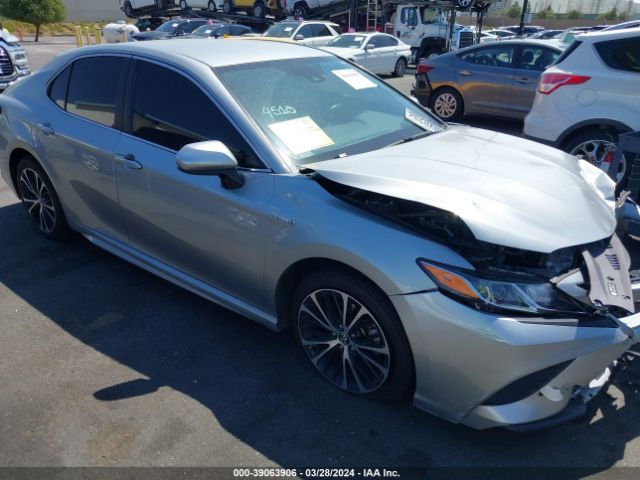 TOYOTA CAMRY 2020 4t1g31ak1lu525685