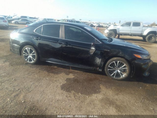 TOYOTA CAMRY 2020 4t1g31ak1lu539893