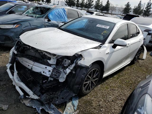 TOYOTA CAMRY 2021 4t1g31ak1mu026452