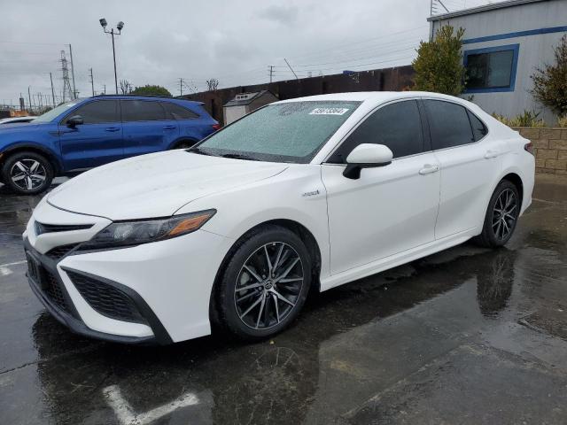 TOYOTA CAMRY 2021 4t1g31ak1mu564570