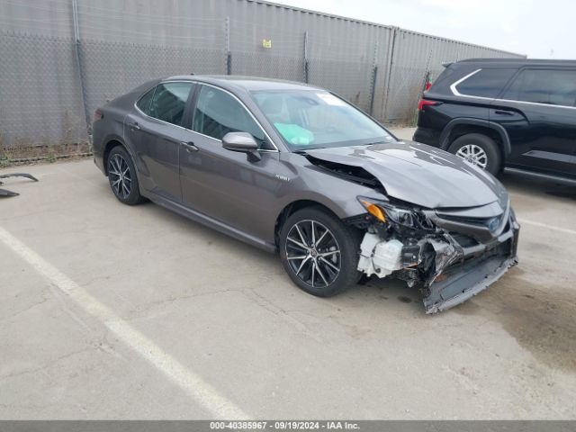 TOYOTA CAMRY 2021 4t1g31ak1mu564679