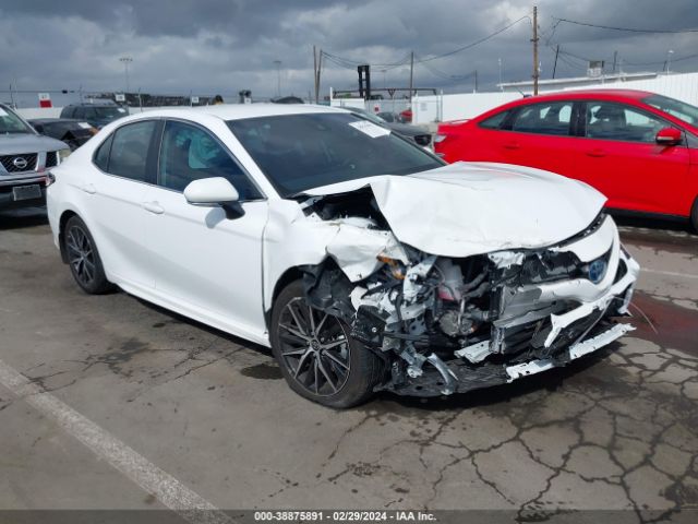 TOYOTA CAMRY 2023 4t1g31ak1pu615750