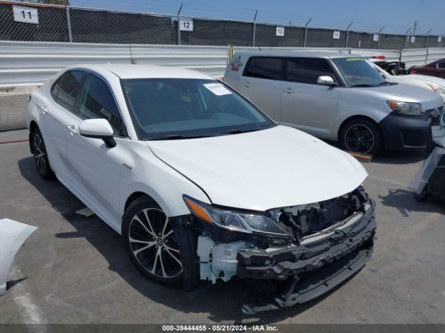 TOYOTA CAMRY 2020 4t1g31ak2lu012557