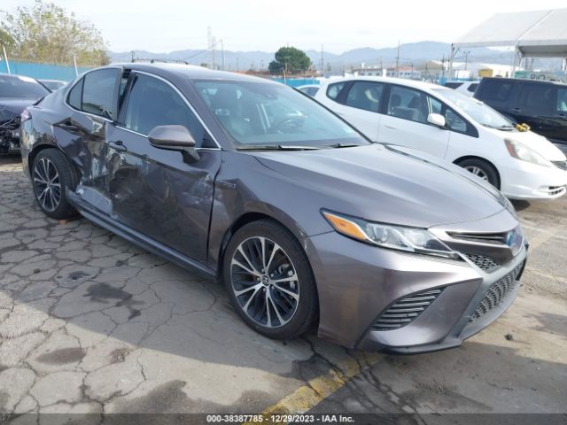 TOYOTA CAMRY 2020 4t1g31ak2lu533276