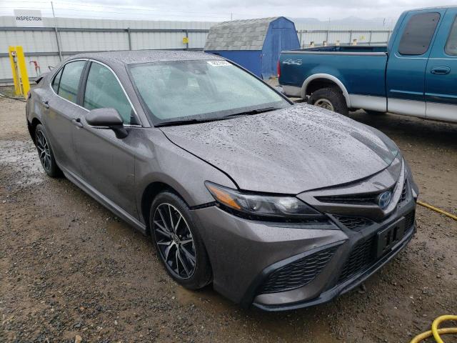 TOYOTA CAMRY NIGH 2022 4t1g31ak2nu039132