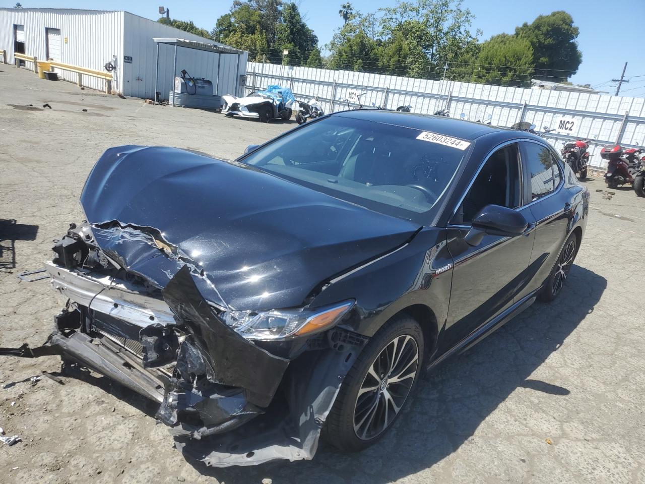 TOYOTA CAMRY 2020 4t1g31ak3lu012020