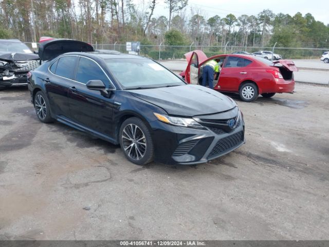 TOYOTA CAMRY 2020 4t1g31ak3lu523002