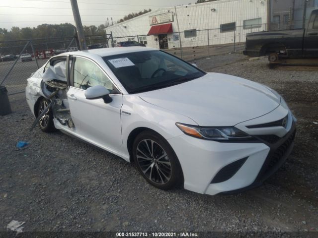 TOYOTA CAMRY 2020 4t1g31ak3lu530550