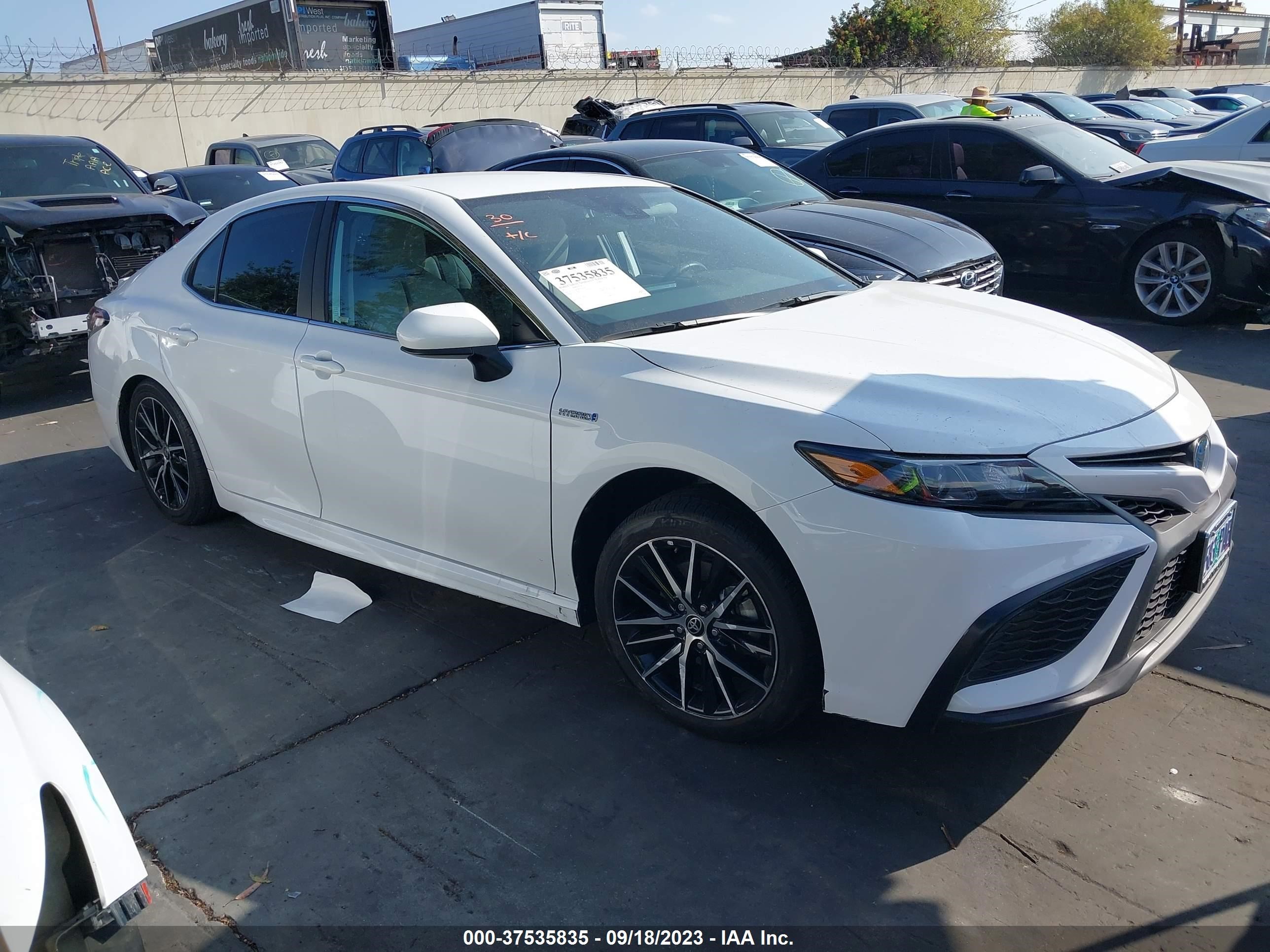 TOYOTA CAMRY 2021 4t1g31ak3mu555160