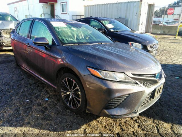 TOYOTA CAMRY 2020 4t1g31ak4lu009935